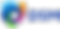 DSM logo.
